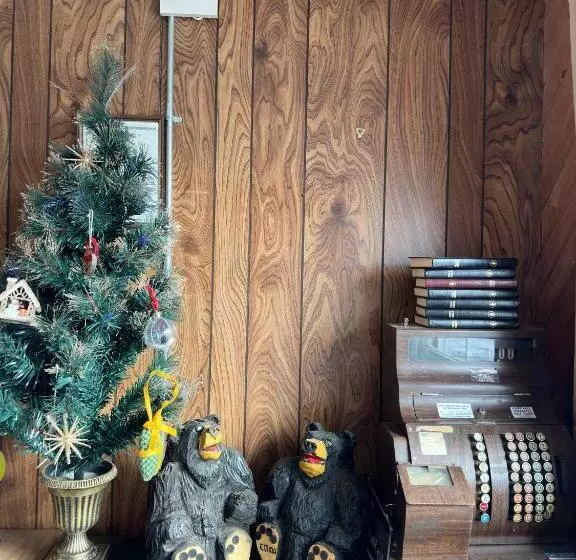 Town And Country Motel