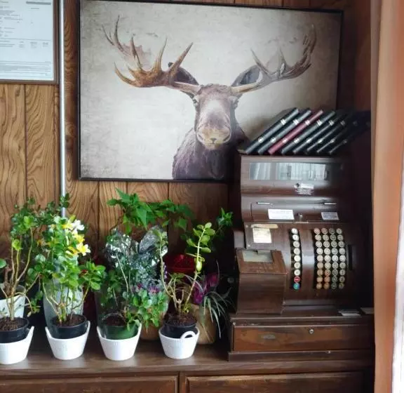 Town And Country Motel