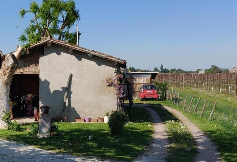 B&b Il Glicine Nascosto