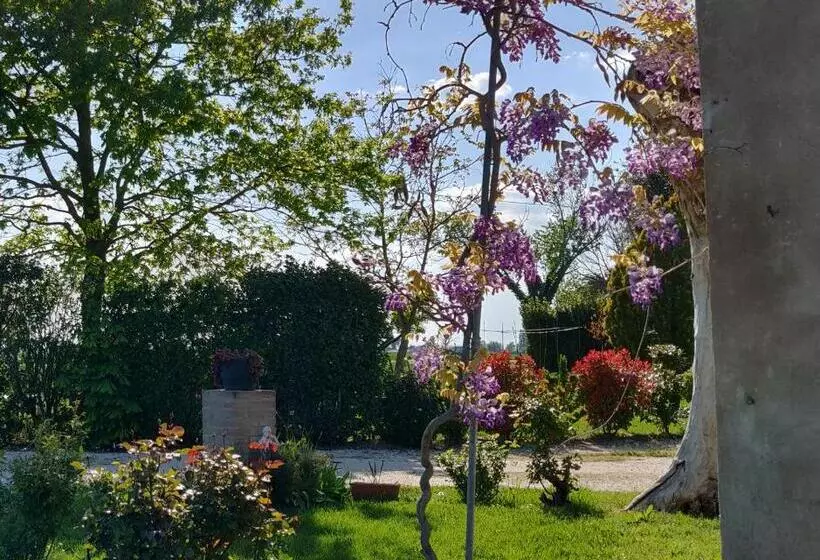 B&b Il Glicine Nascosto