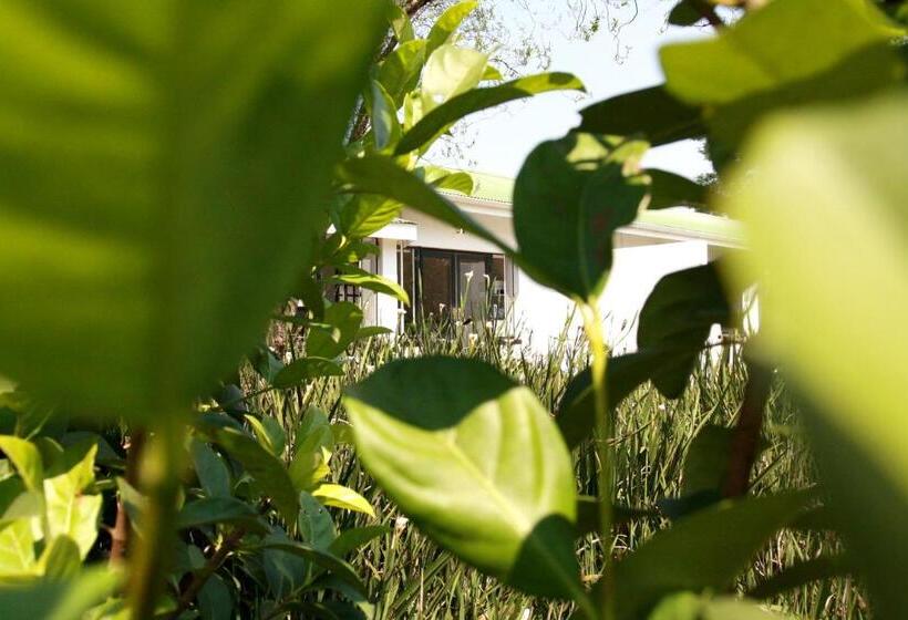 ベッドアンドブレックファースト Harrington House