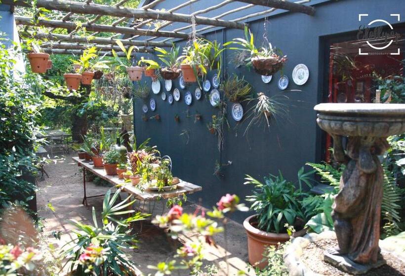 ベッドアンドブレックファースト Harrington House