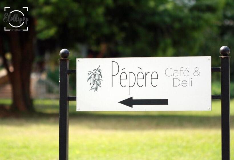 ベッドアンドブレックファースト Harrington House