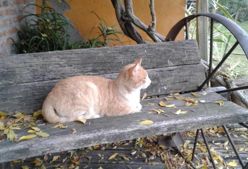 Bed & Breakfast La Casa Del Sol