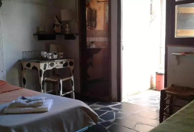 ベッドアンドブレックファースト La Casa Del Sol