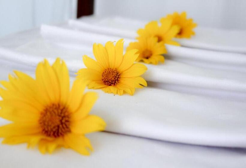 Bed and Breakfast Moon Light Guest