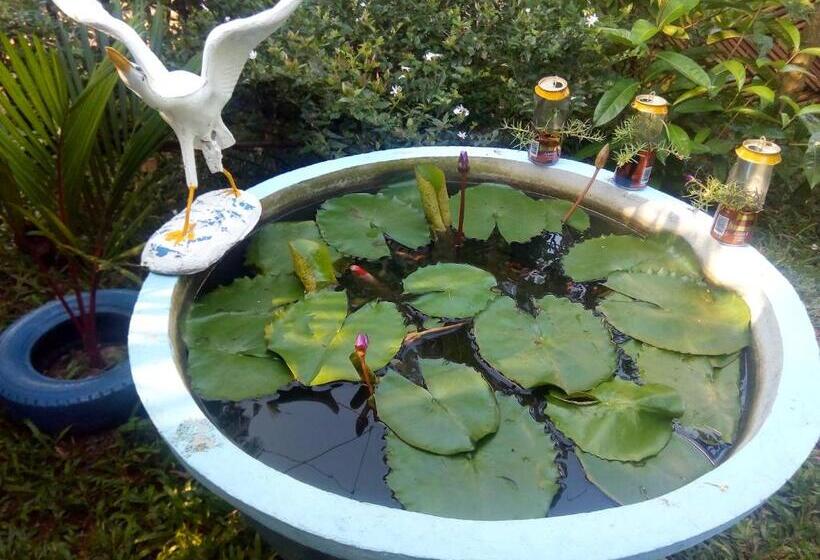 Bed and Breakfast Moon Light Guest