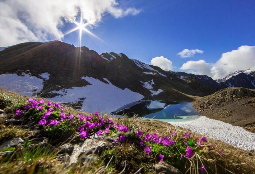 Отель Binterhof