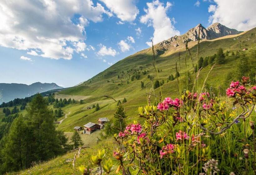 Отель Binterhof