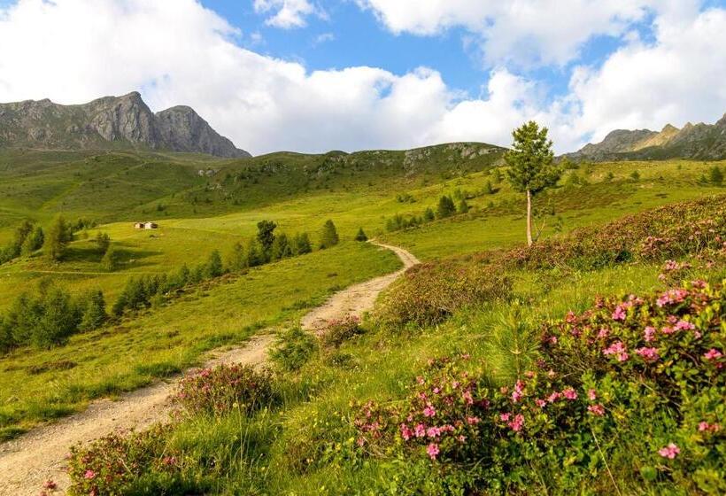 Отель Binterhof