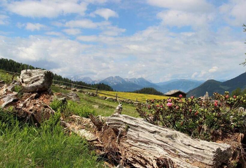 Отель Binterhof