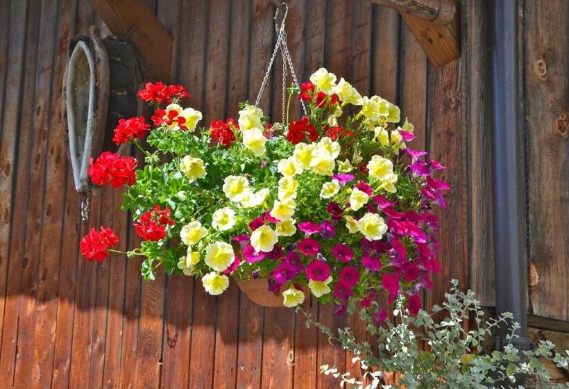 Отель Binterhof