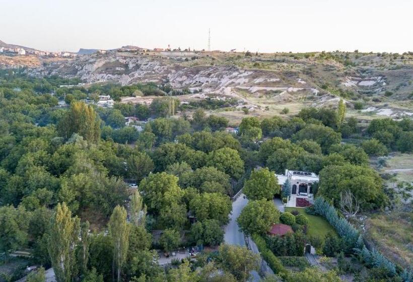 Отель Deluxe Villa With Pool