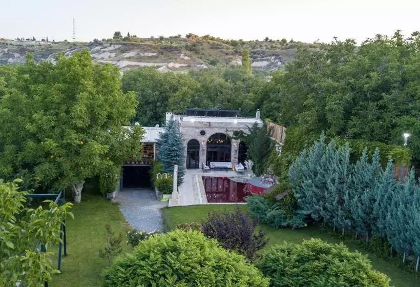 ホテル Deluxe Villa With Pool