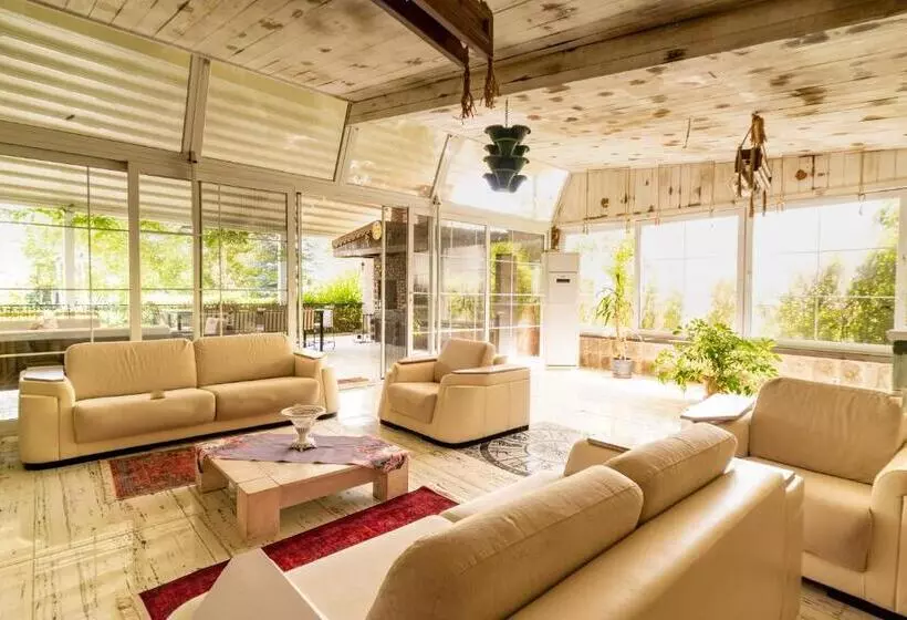ホテル Deluxe Villa With Pool