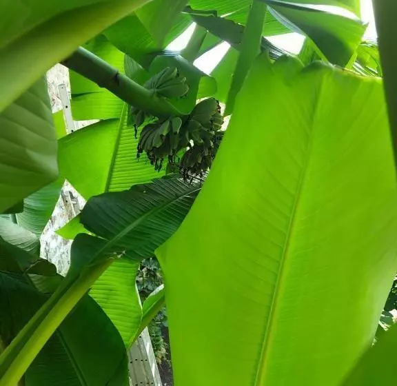 Hotelli Le Mas De La Siffleuse