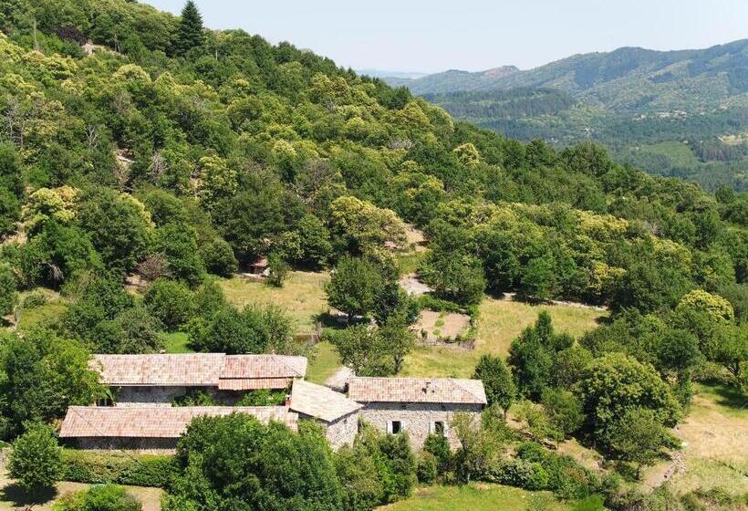 ホテル Le Mas De La Siffleuse