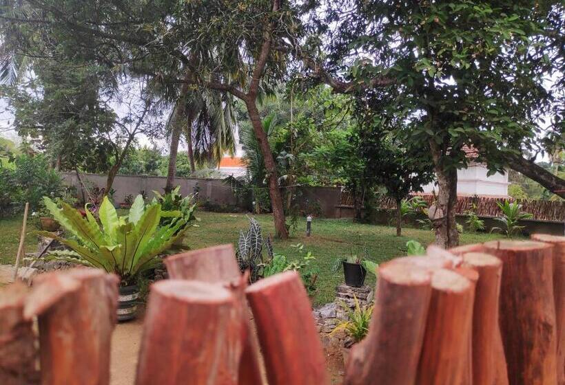 פנסיון Cinnamon House