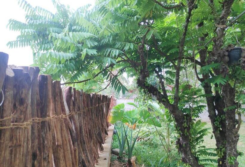 פנסיון Cinnamon House