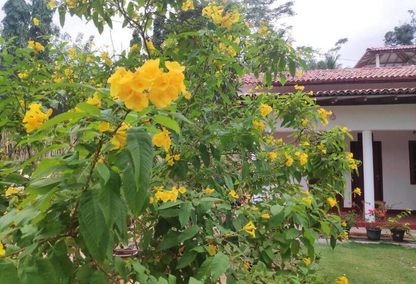 פנסיון Cinnamon House