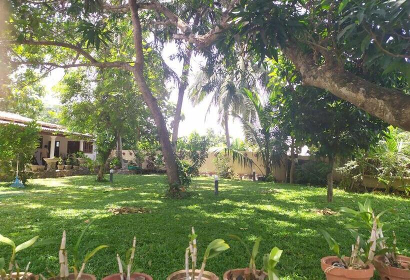 פנסיון Cinnamon House