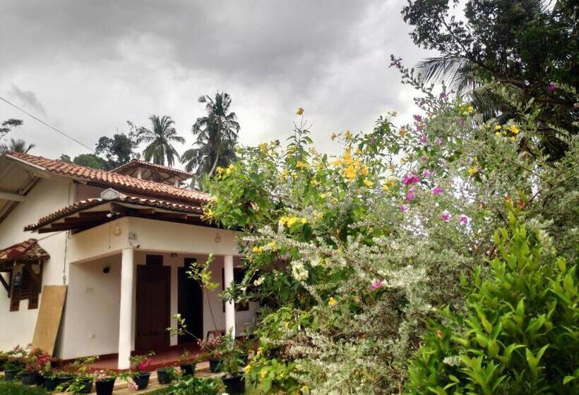 פנסיון Cinnamon House