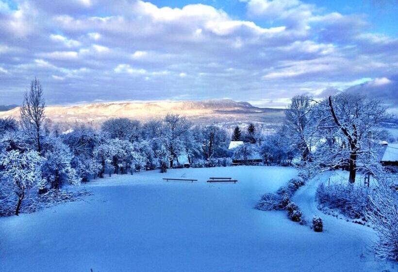 ペンション Complex Tradițional Casa Din Vale