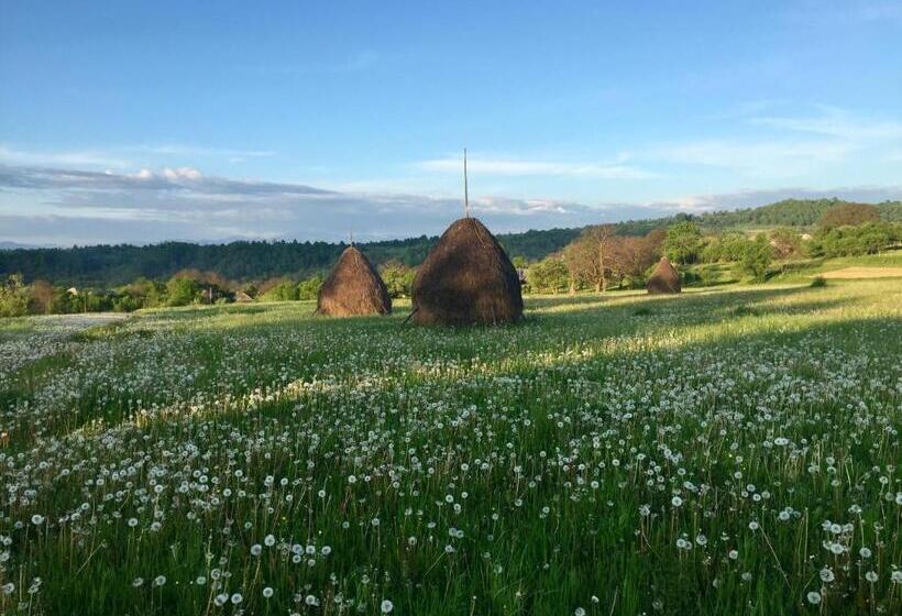 ペンション Complex Tradițional Casa Din Vale