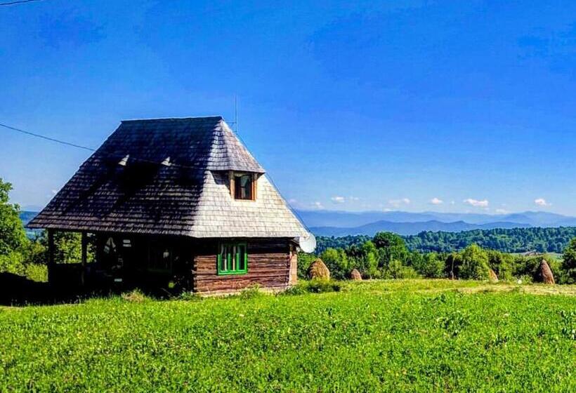ペンション Complex Tradițional Casa Din Vale