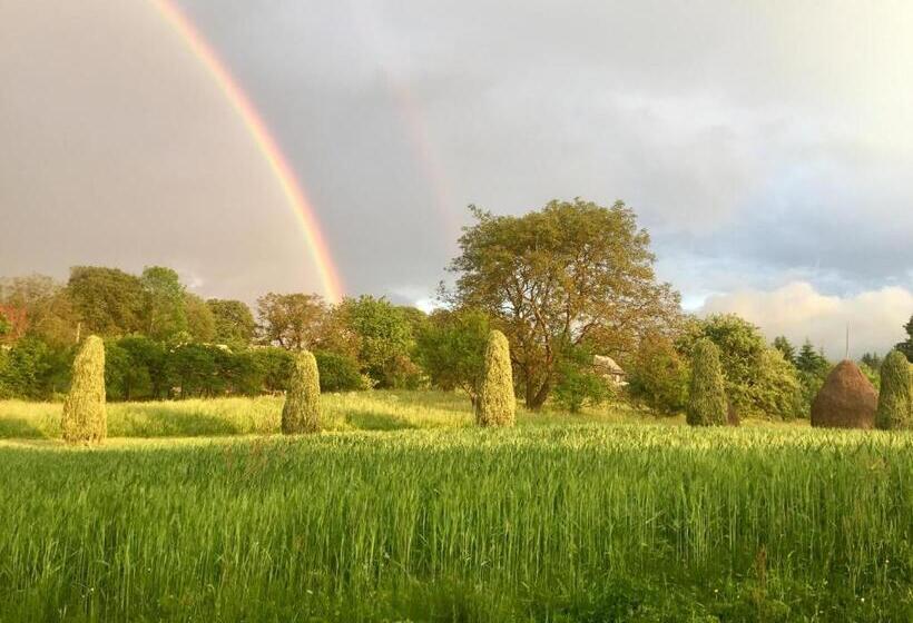 ペンション Complex Tradițional Casa Din Vale