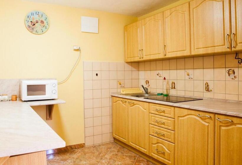 פנסיון Penzion Tina