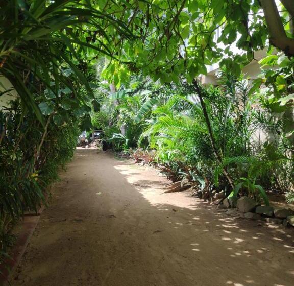 Majatalo Summer Lanka Beach Side