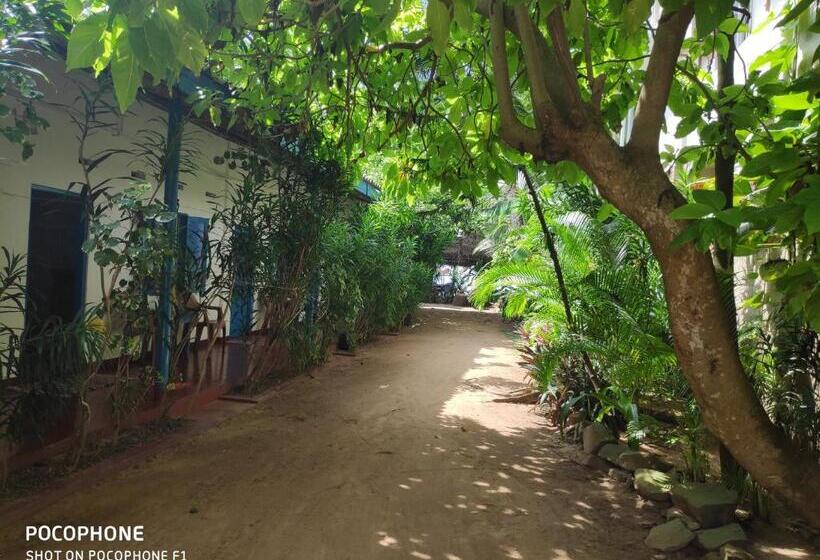 Majatalo Summer Lanka Beach Side