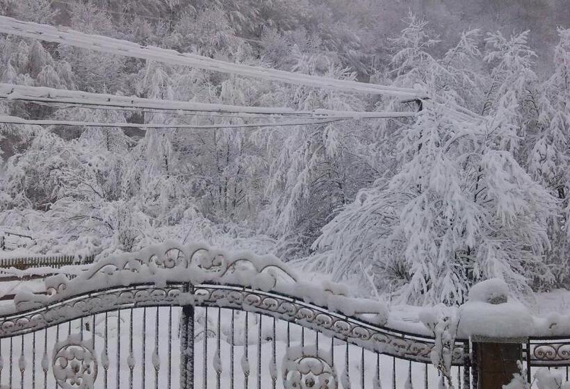 بنسيون Zelenyj Gaj