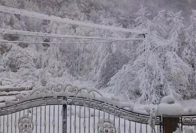 Majatalo Zelenyj Gaj