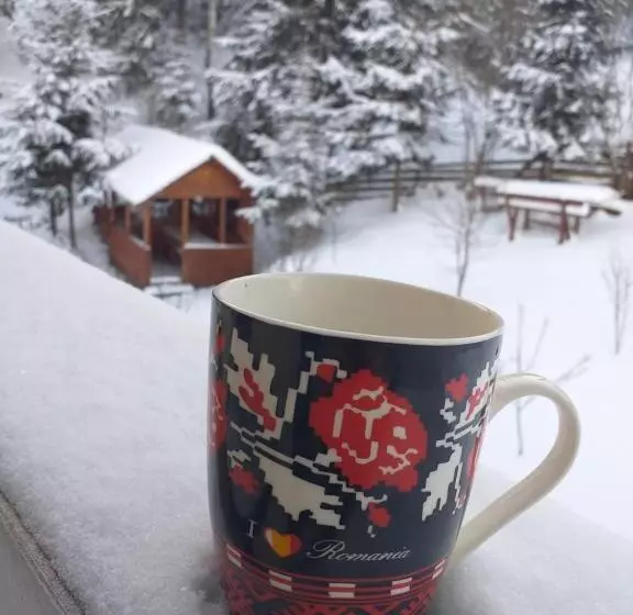 Pensiunea Casa Bradet