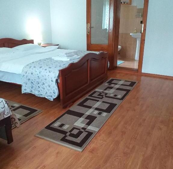 Pensiunea Casa Bradet