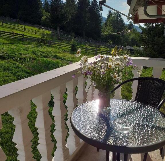 Pensiunea Casa Bradet