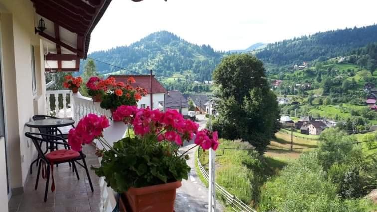 Pensiunea Casa Bradet