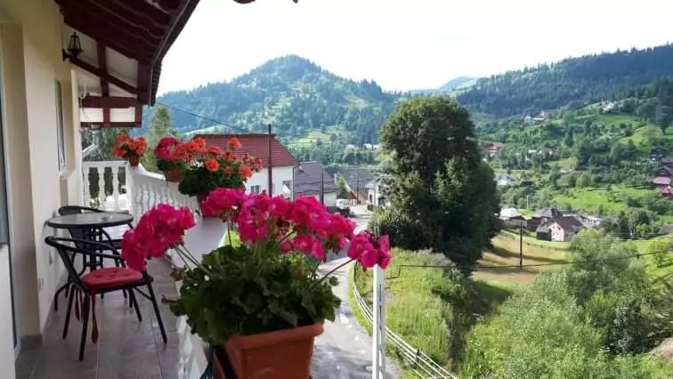 Pensiunea Casa Bradet