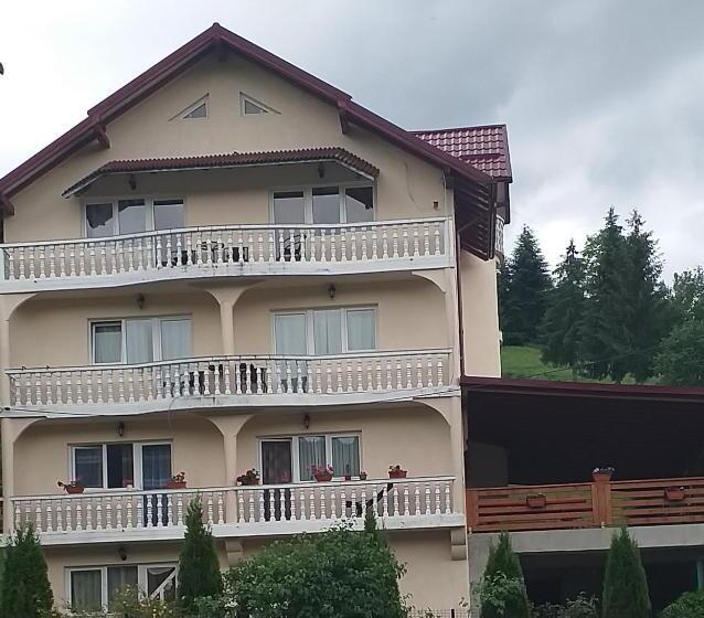 Pensiunea Casa Bradet