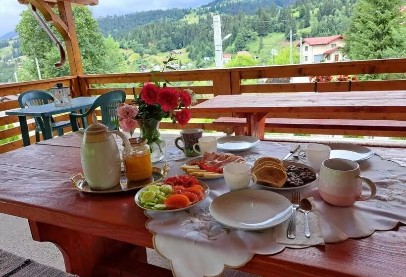 Pensiunea Casa Bradet