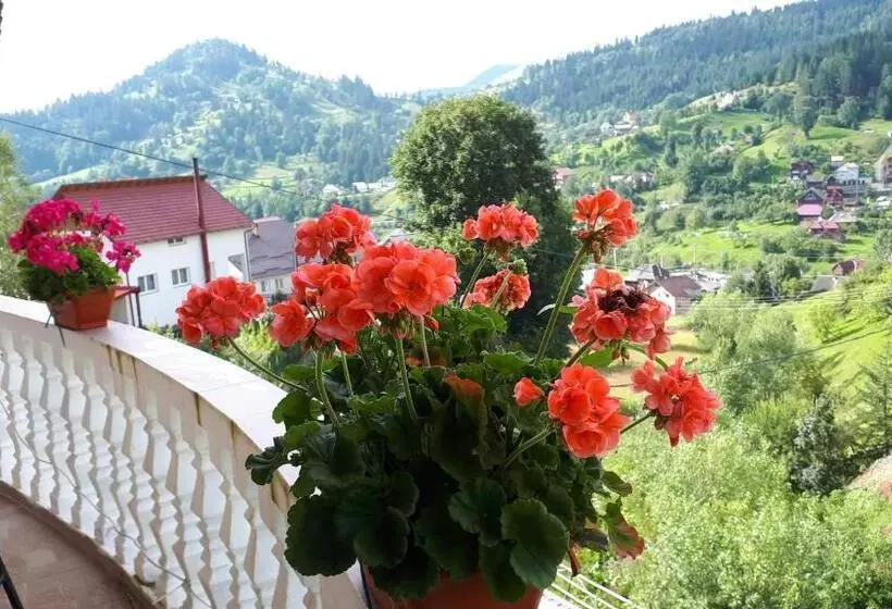 Pensiunea Casa Bradet