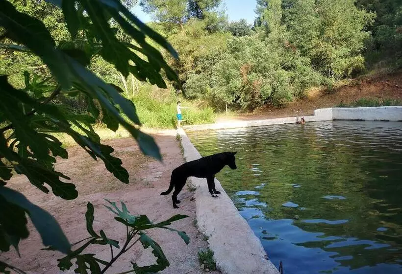 Retkeilymaja La Rejertilla