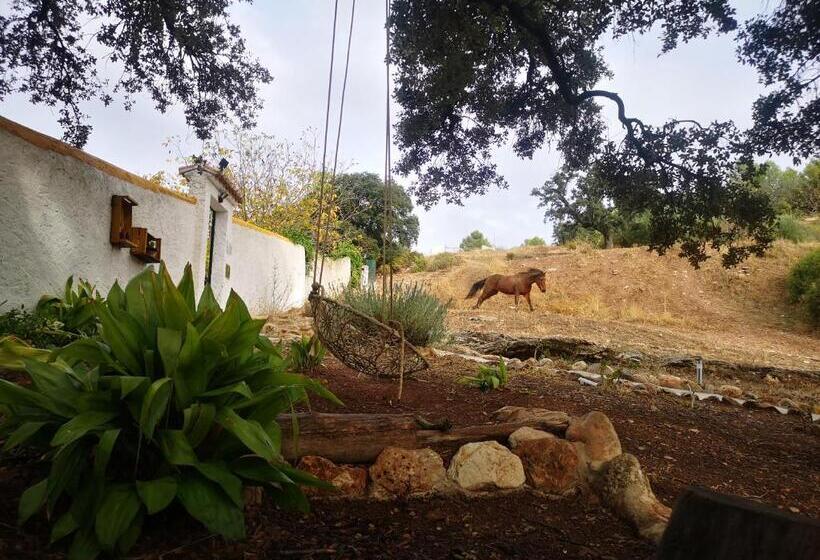 ユースホステル La Rejertilla