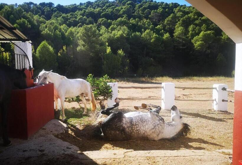 ユースホステル La Rejertilla