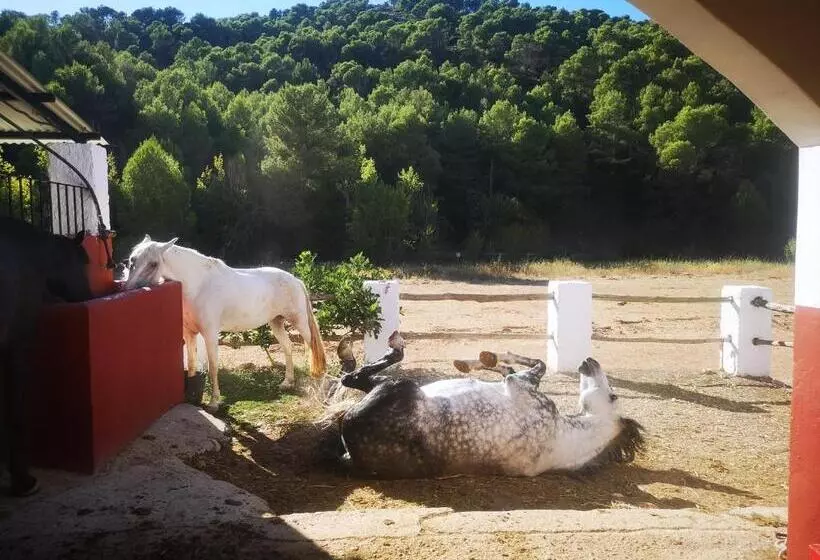 Retkeilymaja La Rejertilla