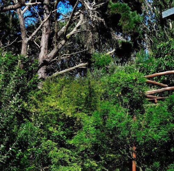 ユースホステル Posada Cobodemar