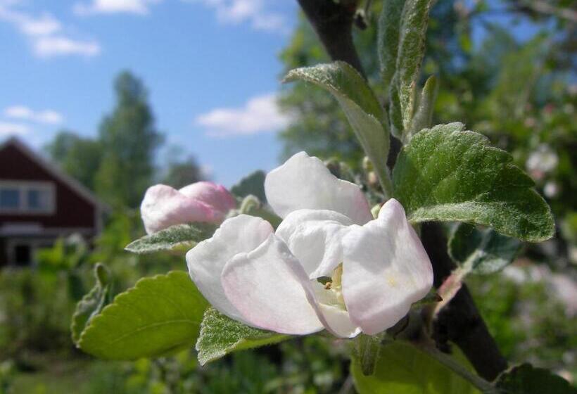 Ostello Wilderness Lodge