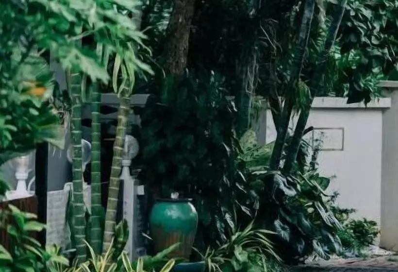 تختخواب و صبحانه Banya Bnb